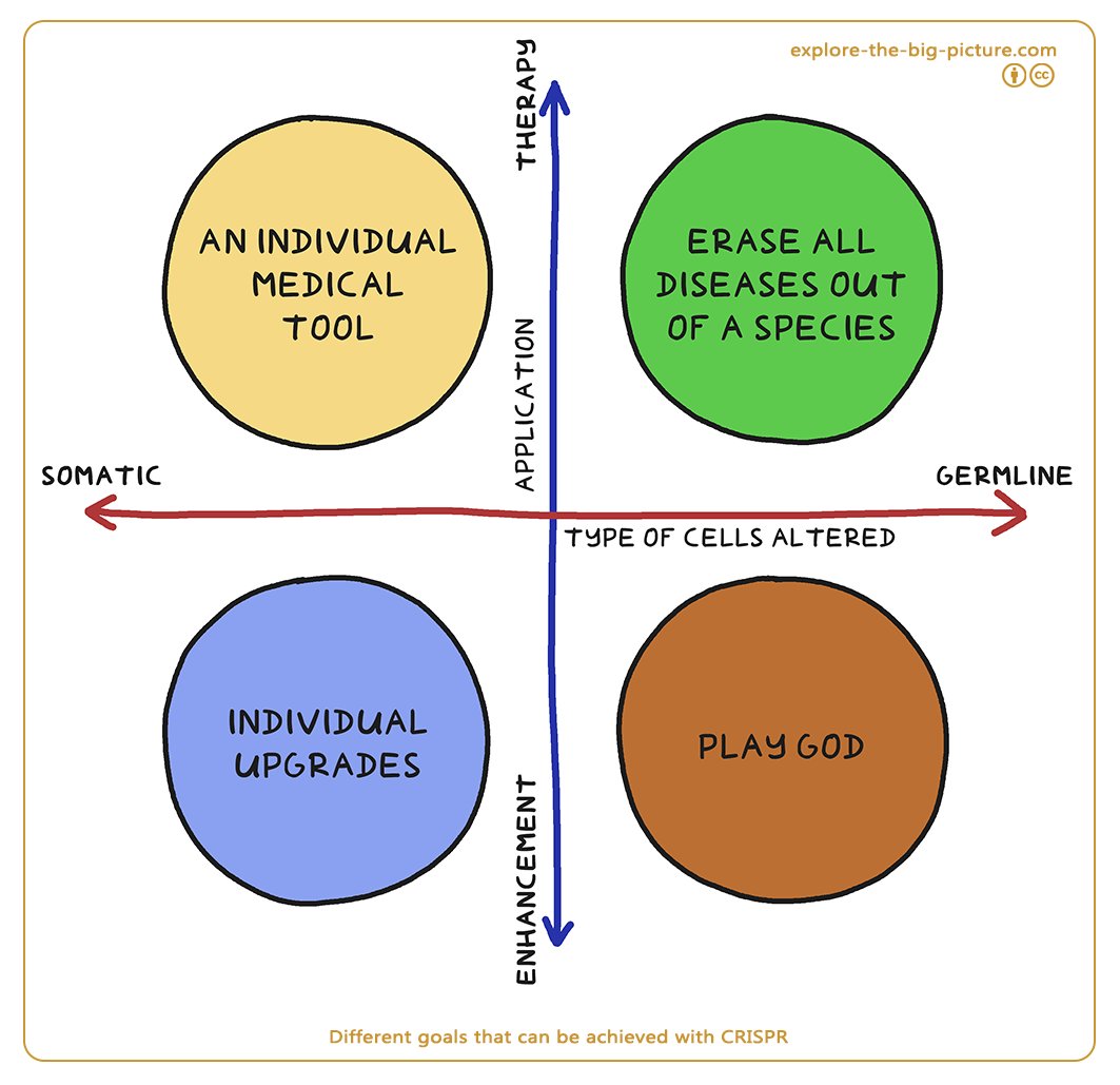Figuur 1.15 — Different goals crispr cas somatic germline enhancement therapy